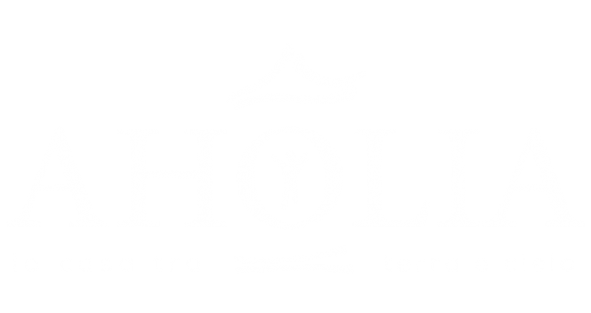 AHOLIA-png-24